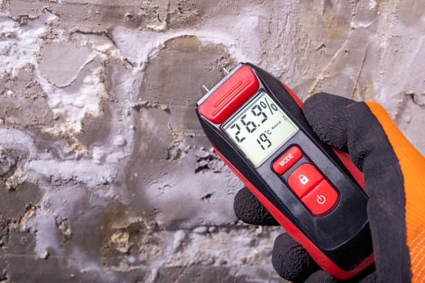 Best Basement Mold Remediation in North Druid Hills, GA